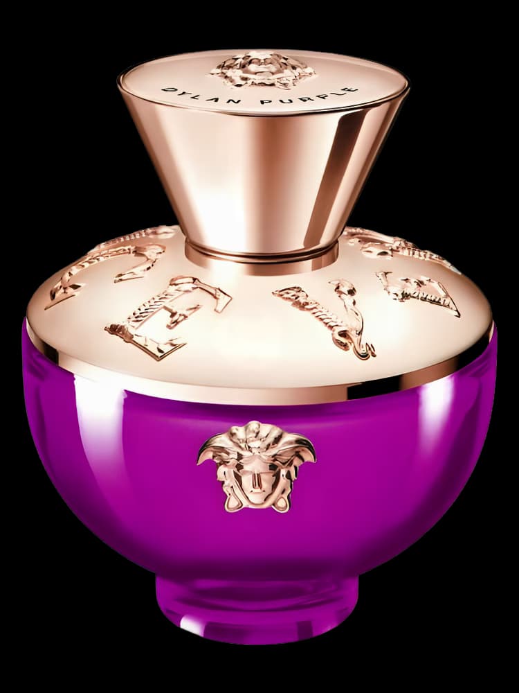 Versace Pour Femme Dylan Purple
