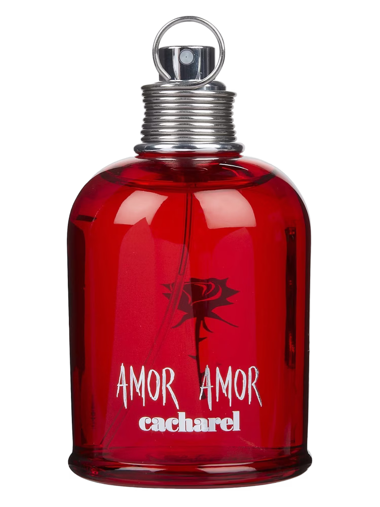 Amor Amor
